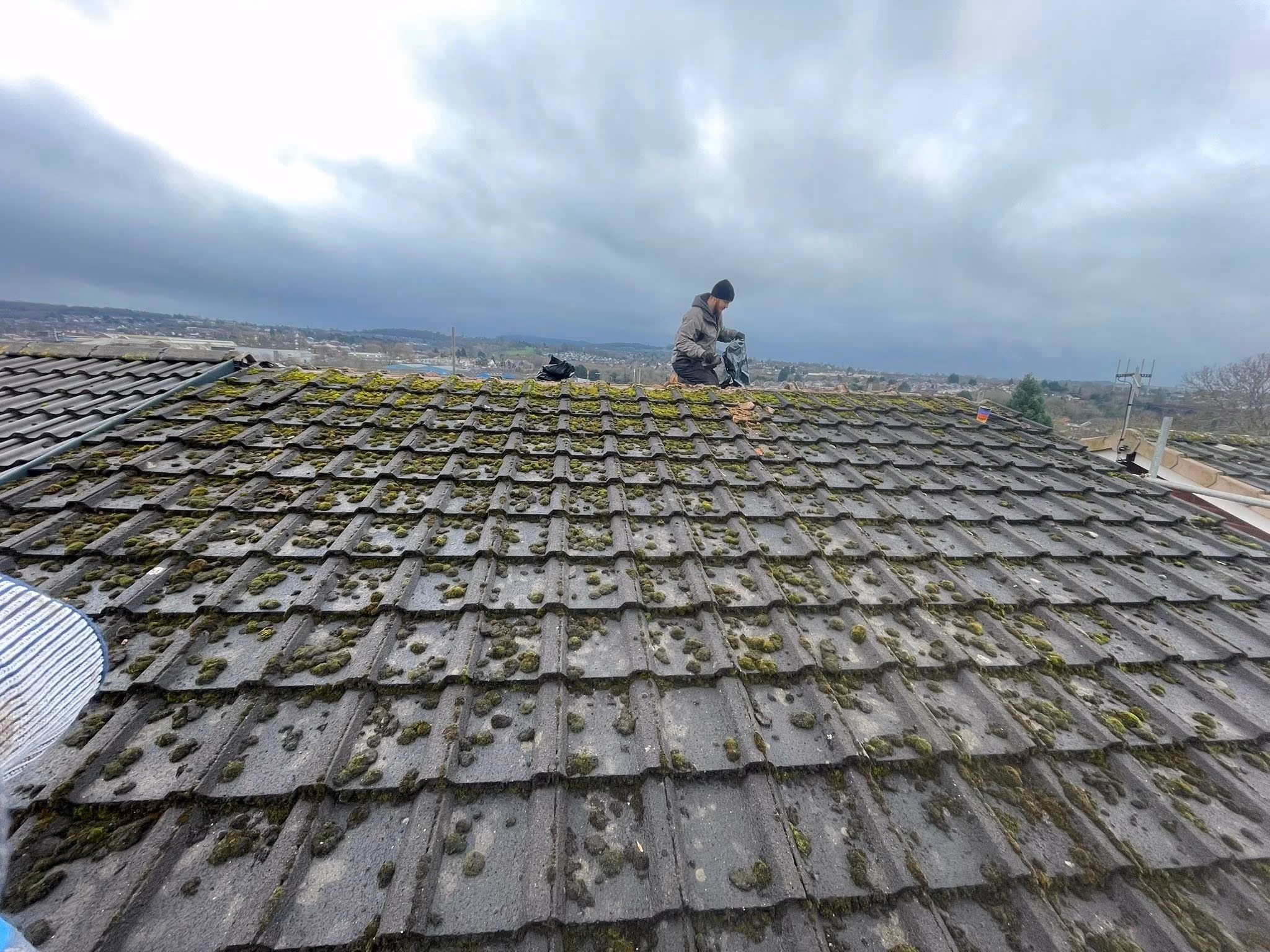 Mossy roof inspection